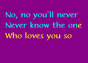 No, no you'll never
Never know the one

Who loves you so