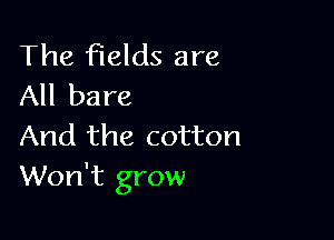 The fields are
All bare

And the cotton
Won't grow