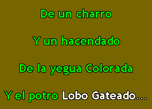 De un charro

Y un hacendado

De la yegua Colorada

Yel potro Lobo Gateado...