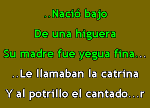 ..Nacic3 bajo
De una higuera
Su madre fue yegua fina...
..Le llamaban la catrina

Y al potrillo el cantado...r