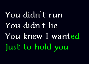 You didn't run
You didn't lie

You knew I wanted
Just to hold you