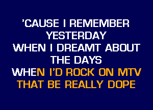 'CAUSE I REMEMBER
YESTERDAY
WHEN I DREAMT ABOUT
THE DAYS
WHEN I'D ROCK ON MTV
THAT BE REALLY DOPE