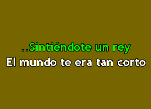 Sintwndote un rey

El mundo te era tan corto