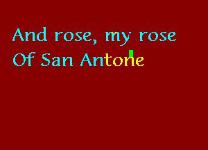 And rose, my rose
Of San Antonjle