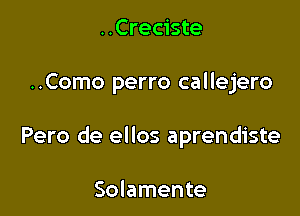 ..Creciste

..Como perro callejero

Pero de ellos aprendiste

Solamente