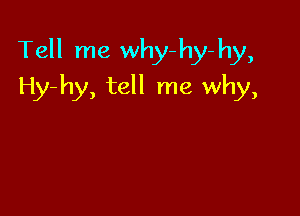 Tell me why- hy- hy,

Hy-hy, tell me why,