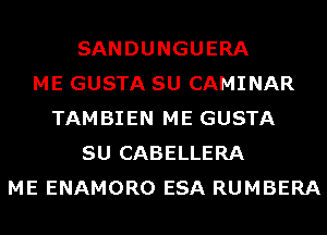 SANDUNGUERA
ME GUSTA SU CAMINAR
TAMBIEN ME GUSTA
SU CABELLERA
ME ENAMORO ESA RUMBERA