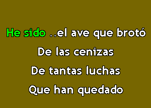 He sido ..el ave que brot6

De las cenizas
De tantas Iuchas

Que han quedado