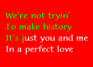 We're not tryin'
To make history

It's just you and me
In a perfect love