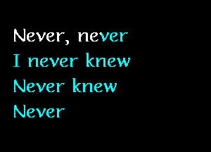 Never, never
I never knew

Never knew
Never