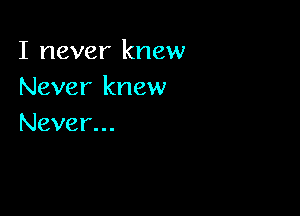 I never knew
Never knew

Never...