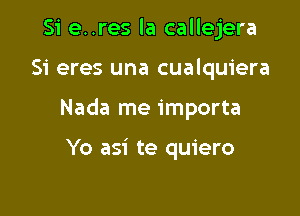 Si e..res la callejera

Si eres una cualquiera

Nada me importa

Yo asi te quiero