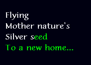 Flying
Mother nature's

Silver seed
To a new home...