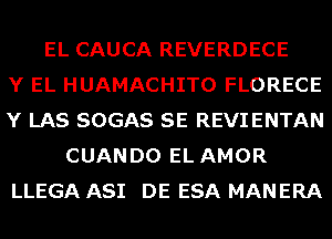 EL CAUCA REVERDECE
Y EL HUAMACHITO FLORECE
Y LAS SOGAS SE REVIENTAN
CUANDO EL AMOR
LLEGA ASI DE ESA MANERA