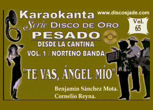 Karaokanta mdwlmm
Sun DISCO DE 0520

PESADO 15f
DESDE LA cnmmn (fig

VOL 1 RORTEND BANDAI

TE NS, ANGEL MIO H,

Bcniamln Simhez 31013.1
Comelio Reym. ,-