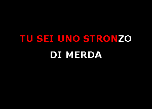 TU SEI UNO STRONZO

DI MERDA