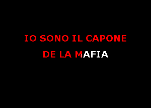 IO SONO IL CAPONE

DE LA MAFIA