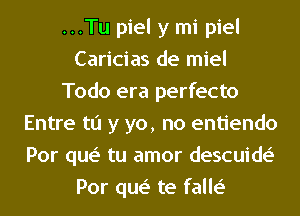 ...Tu piel y mi piel
Caricias de miel
Todo era perfecto
Entre to y yo, no entiendo
Por que' tu amor descuide'
Por que' te falle'