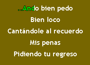 ..Ando bien pedo
Bien loco
Cantandole al recuerdo

Mis penas

Pidiendo tu regreso