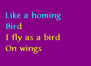 Like a homing
Bird

I Hy as a bird
On wings