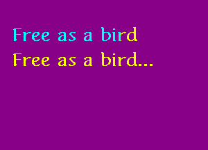 Free as a bird
Free as a bird...