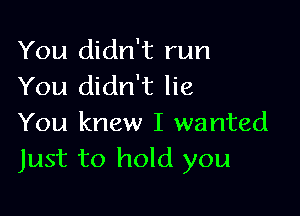 You didn't run
You didn't lie

You knew I wanted
Just to hold you