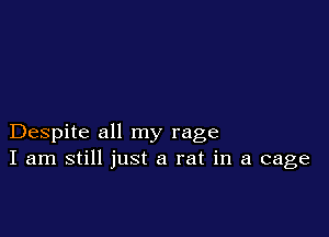 Despite all my rage
I am still just a rat in a cage
