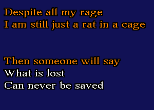 Despite all my rage
I am still just a rat in a cage

Then someone will say
What is lost
Can never be saved