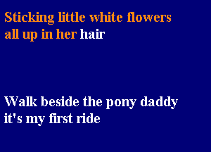 Sticking little white flowers
all up in her hair

Walk beside the pony daddy
it's my first ride