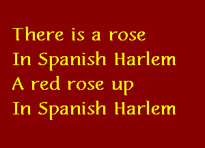 There is a rose

In Spanish Harlem
A red rose up

In Spanish Harlem