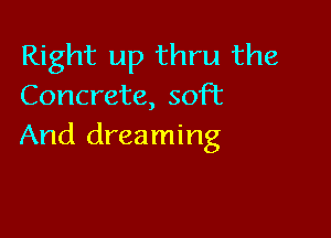 Right up thru the
Concrete, soft

And dreaming