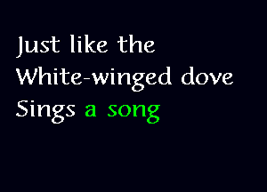 Just like the
White-winged dove

Sings a song