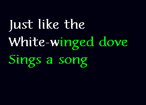 Just like the
White-winged dove

Sings a song