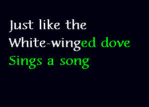 Just like the
White-winged dove

Sings a song