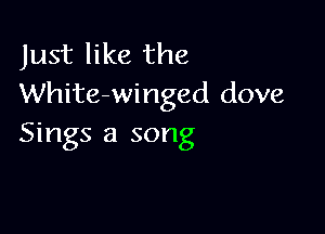 Just like the
White-winged dove

Sings a song