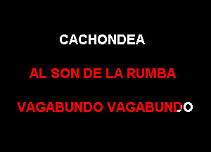 CACHONDEA

AL SON DE LA RUMBA

VAGABUNDO VAGABUNDO