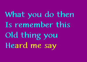 What you do then
Is remember this

Old thing you
Heard me say