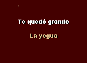 Te qued6 grande

La yegua