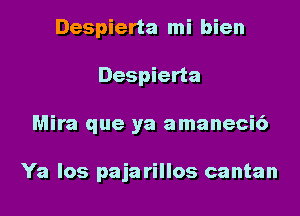 Despierta mi bien
Despierta
Mira que ya amaneci6

Ya los pajarillos cantan