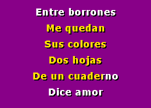 Entre borrones
Me quedan
Sus colores

Dos hojas

De un cuaderno
Dice amor