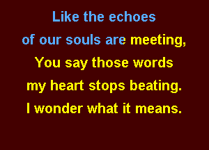 Like the echoes
of our souls are meeting,
You say those words
my heart stops beating.
I wonder what it means.