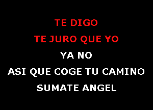 TE DIGO
TE JURO QUE Y0

YA NO
ASI QUE COGE TU CAMINO
SUMATE ANGEL