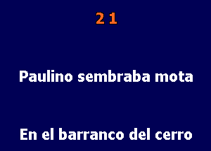 21

Paulino sembraba mota

En el barranco del cerro