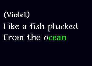 (Violet)
Like a fish plucked

From the ocean
