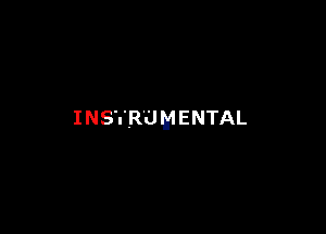 INS'I'R'U M ENTAL