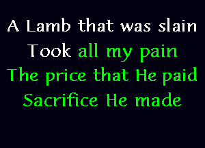 A Lamb that was slain

Took all my pain
The price that He paid

Sacrifice He made