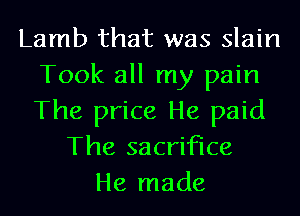 Lamb that was slain
Took all my pain
The price He paid

The sacrifice
He made