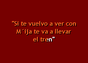 Si te vuelvo a ver con

M'ija te va a llevar
el tren