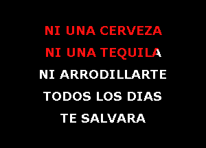 NI UNA CERVEZA
NI UNA TEQUILA

NI ARRODILLARTE
TODOS LOS DIAS
TE SALVARA