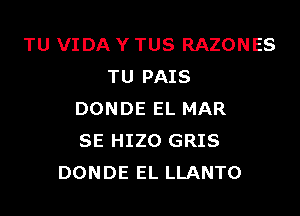 TU VIDA Y TUS RAZONES
TU PAIS

DONDE EL MAR
SE HIZO GRIS
DONDE EL LLANTO